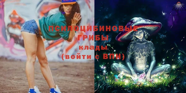 a pvp Михайлов