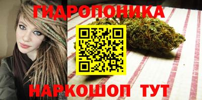 спайс Гай