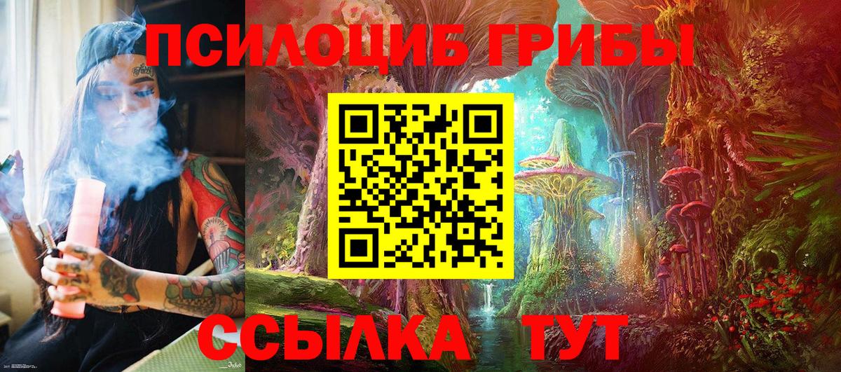 Галлюциногенные грибы Psilocybe  Ангарск 