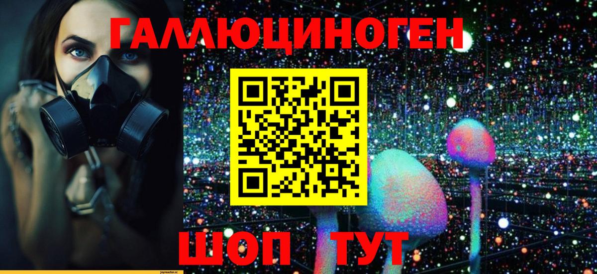 Псилоцибиновые грибы GOLDEN TEACHER Ангарск