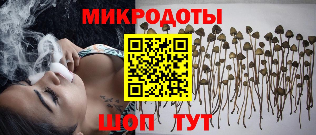 Ангарск  Галлюциногенные грибы Cubensis  Галлюциногенные грибы мицелий  Вход с VPN 